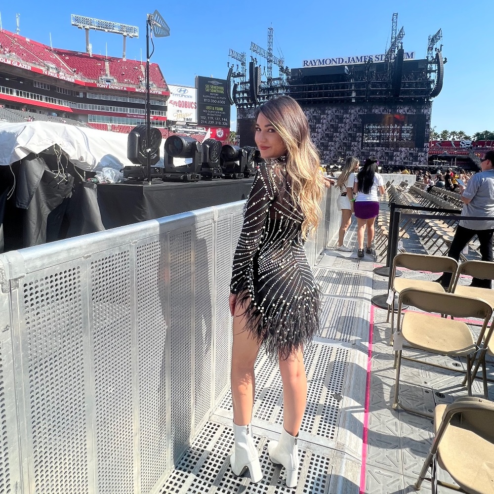 Taylor Swift Concert Bejeweled Dress